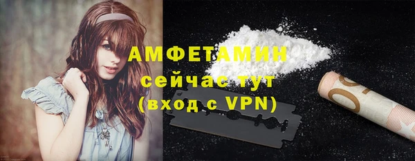 индика Горняк